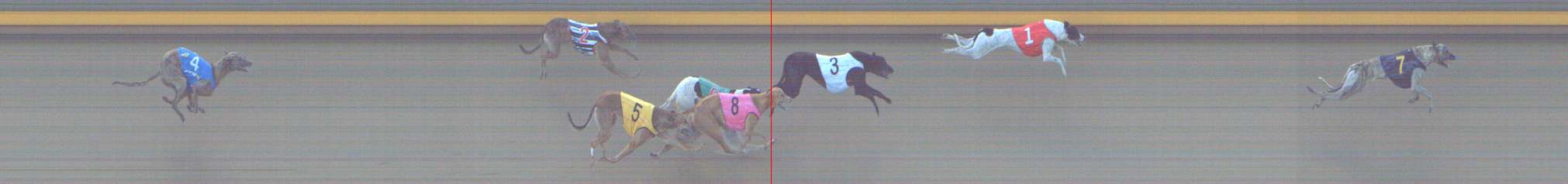 Photo finish for Shepparton Race 8