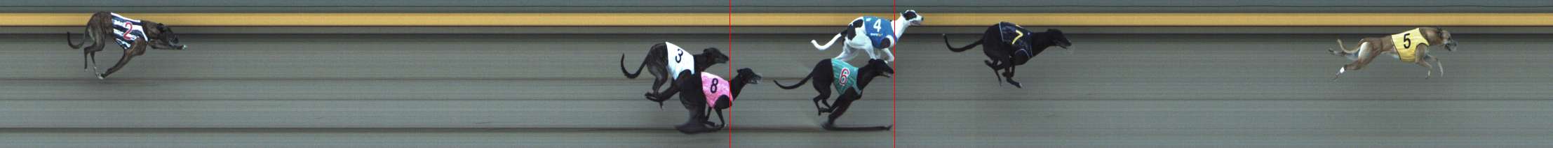 Photo finish for Shepparton Race 9