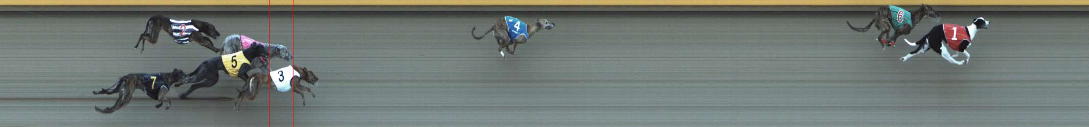 Photo finish for Shepparton Race 10