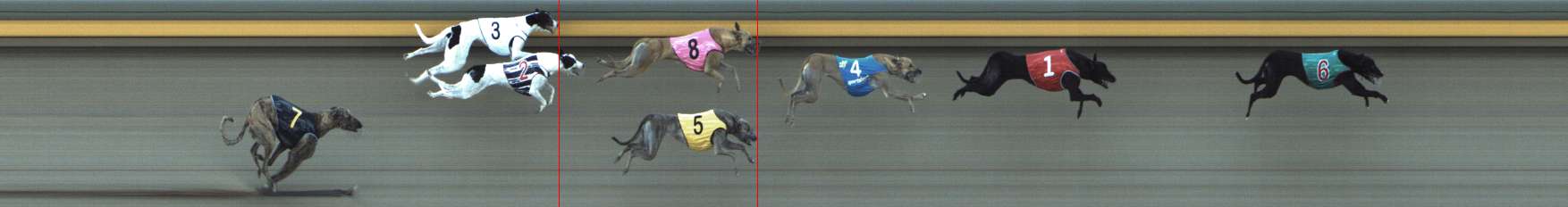 Photo finish for Shepparton Race 11