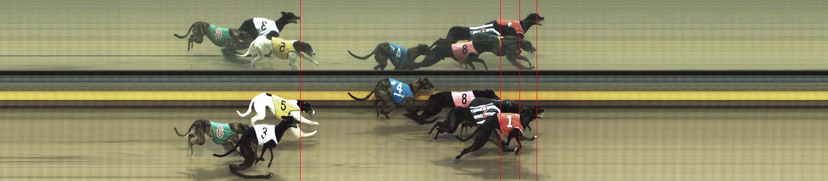 Photo finish for Shepparton Race 12