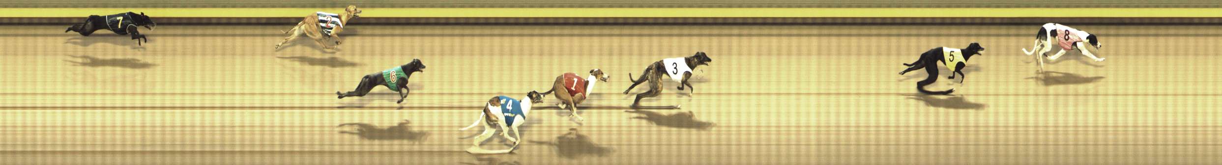 Photo finish for Shepparton Race 13