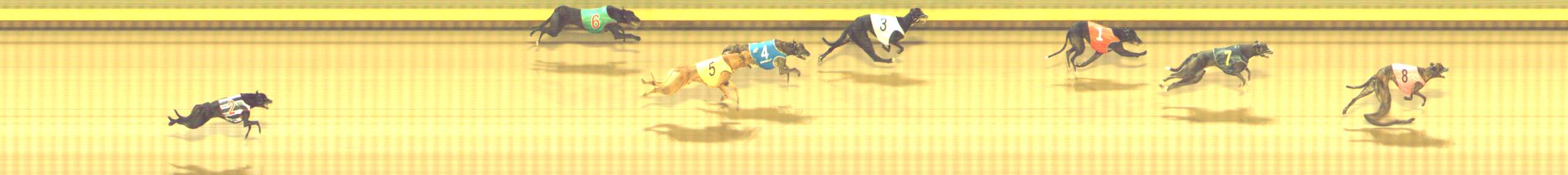 Photo finish for Shepparton Race 14