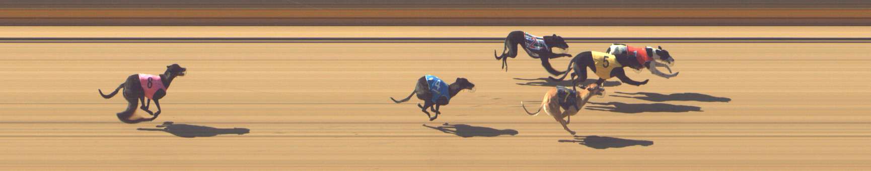 Photo finish for Shepparton Race 1