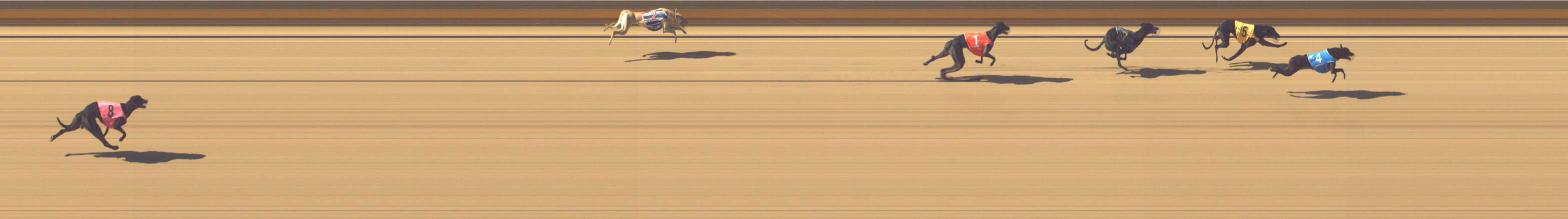 Photo finish for Shepparton Race 3