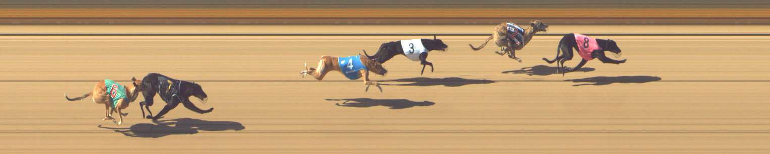 Photo finish for Shepparton Race 4