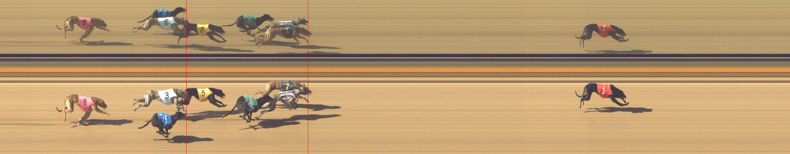 Photo finish for Shepparton Race 5
