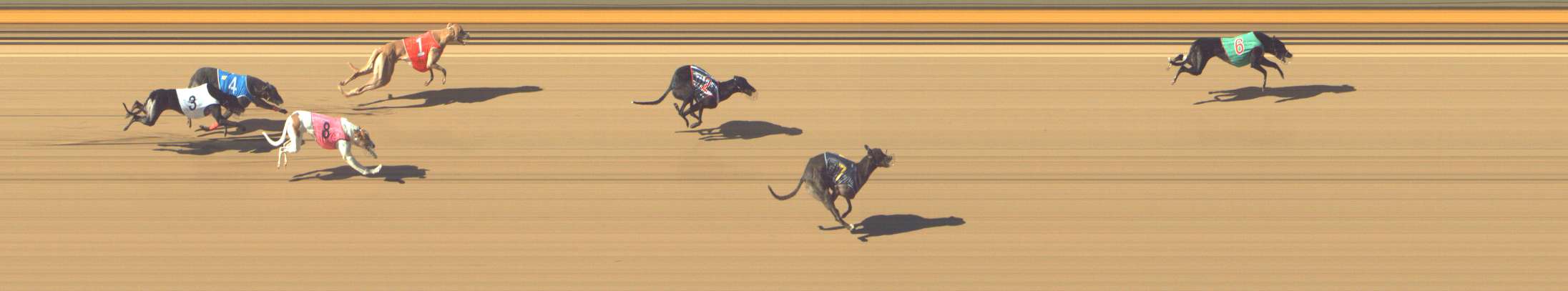Photo finish for Shepparton Race 6