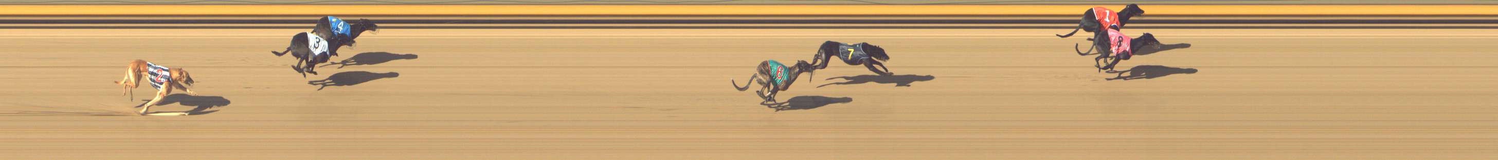 Photo finish for Shepparton Race 7