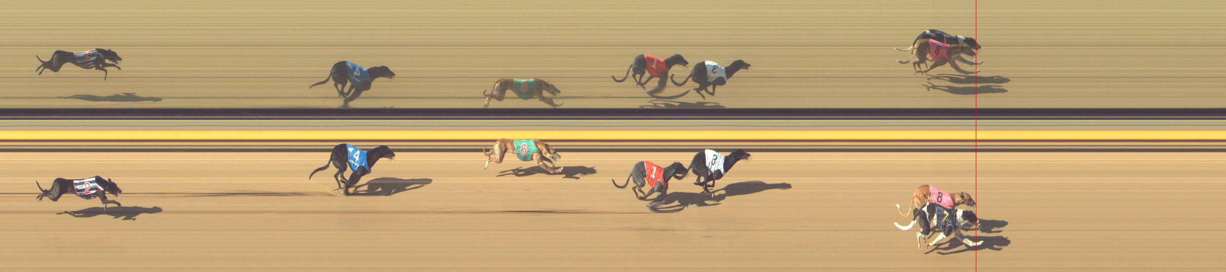 Photo finish for Shepparton Race 8