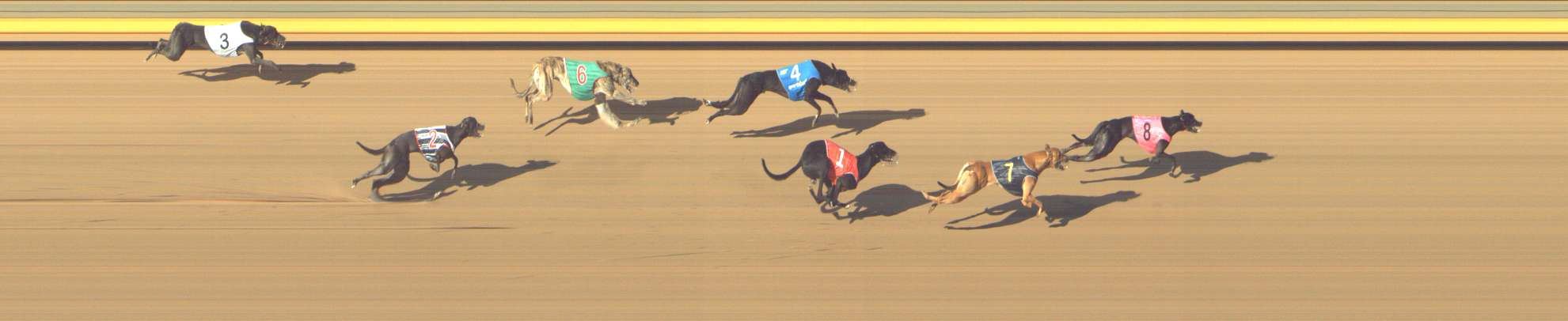 Photo finish for Shepparton Race 9