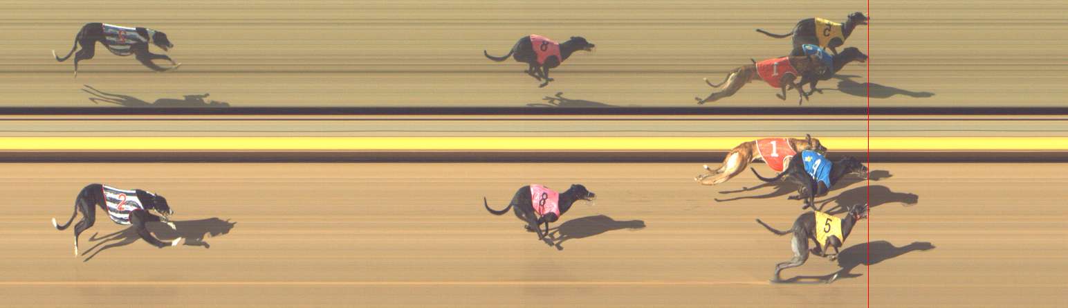 Photo finish for Shepparton Race 10