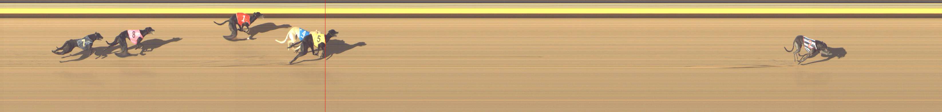 Photo finish for Shepparton Race 11