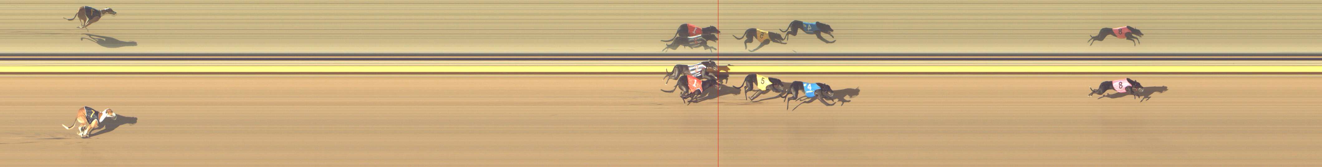 Photo finish for Shepparton Race 12