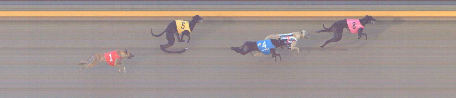 Photo finish for Shepparton Race 13