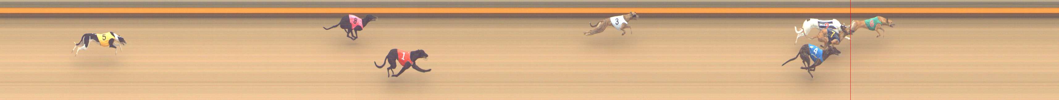 Photo finish for Shepparton Race 1