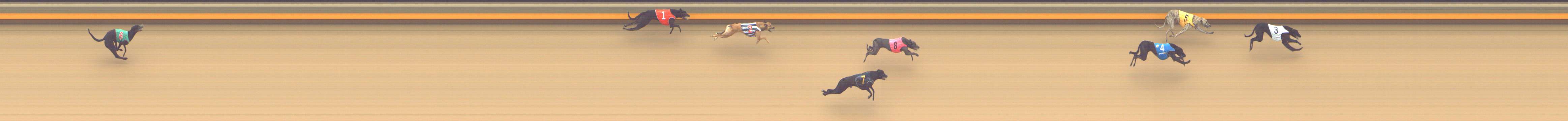 Photo finish for Shepparton Race 2