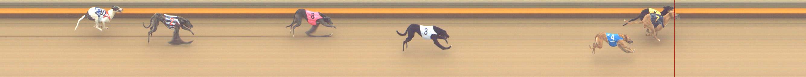 Photo finish for Shepparton Race 3