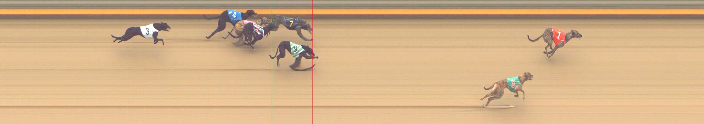 Photo finish for Shepparton Race 5