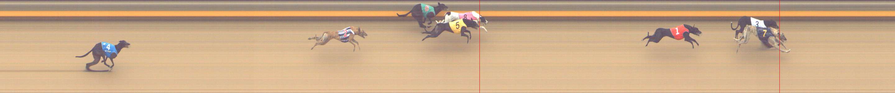 Photo finish for Shepparton Race 6