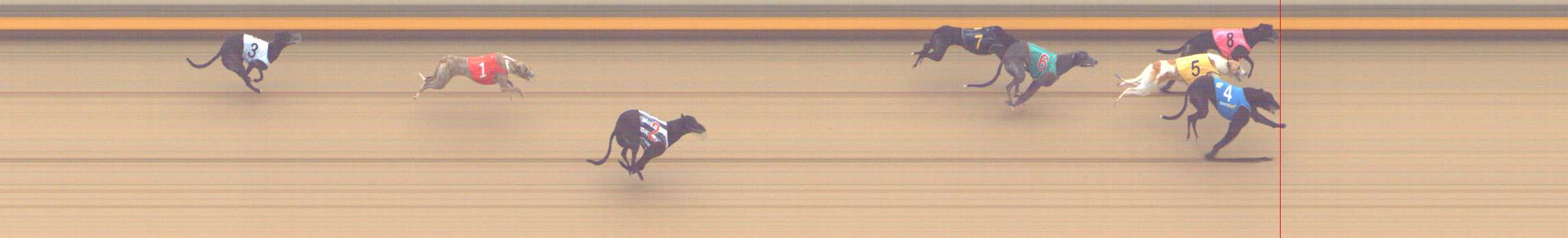 Photo finish for Shepparton Race 7