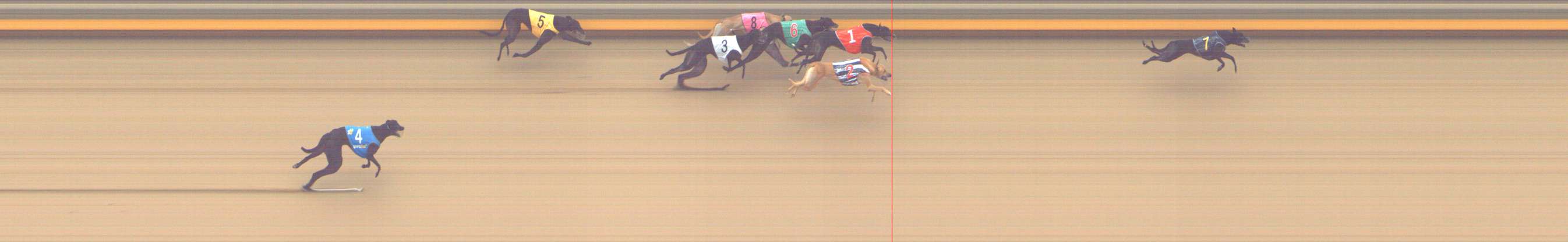 Photo finish for Shepparton Race 8