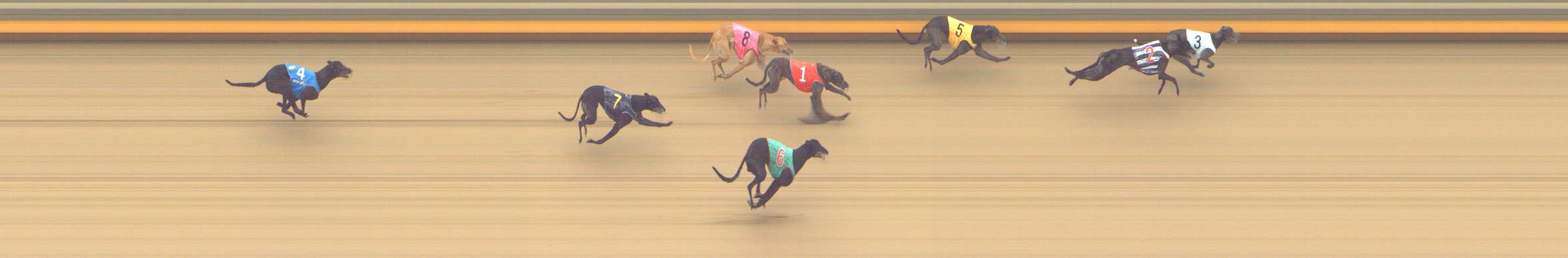 Photo finish for Shepparton Race 9