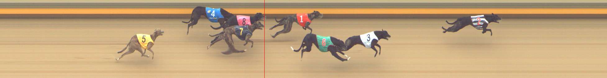 Photo finish for Shepparton Race 10