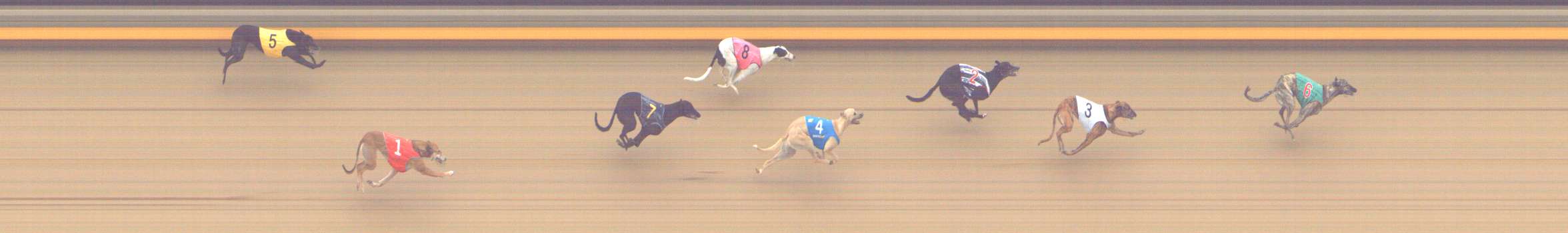 Photo finish for Shepparton Race 11