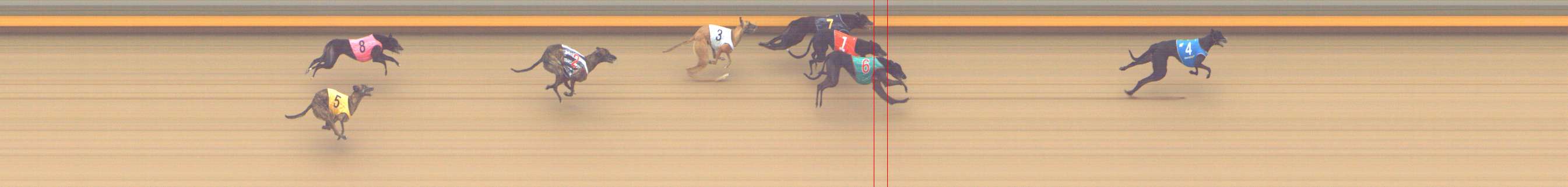 Photo finish for Shepparton Race 12