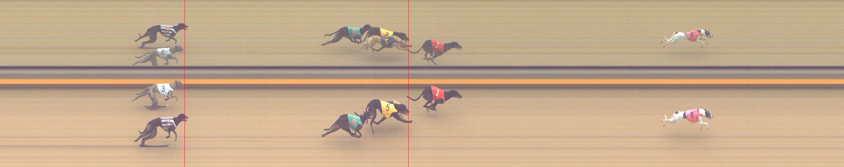 Photo finish for Shepparton Race 13