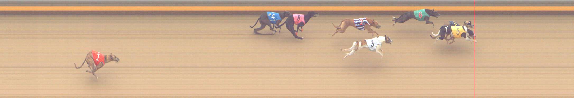 Photo finish for Shepparton Race 14