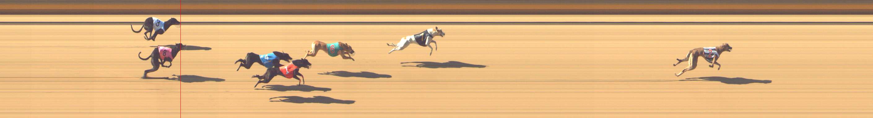 Photo finish for Shepparton Race 1