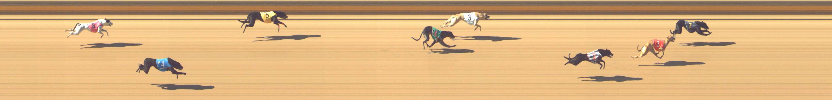 Photo finish for Shepparton Race 3