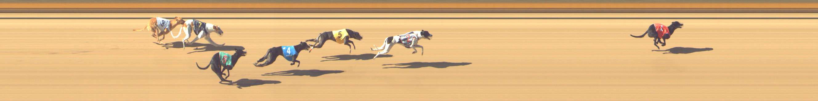 Photo finish for Shepparton Race 4