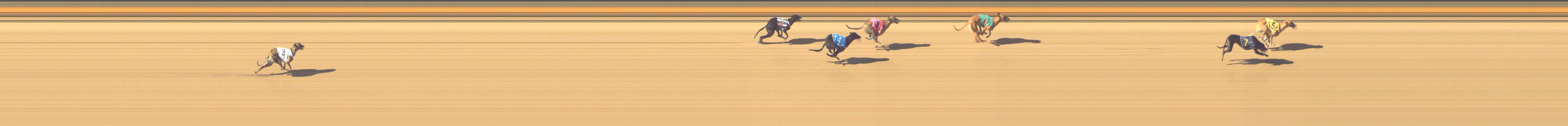 Photo finish for Shepparton Race 5