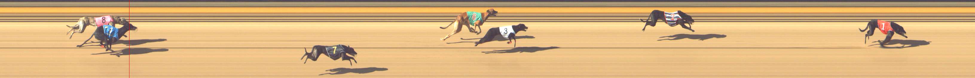 Photo finish for Shepparton Race 6