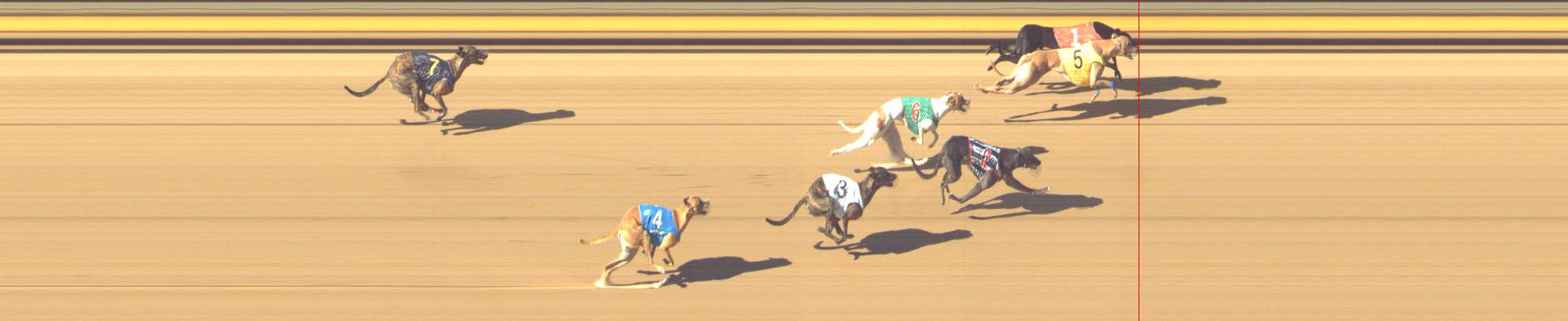 Photo finish for Shepparton Race 7