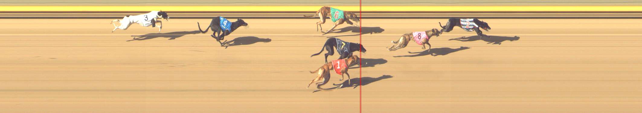 Photo finish for Shepparton Race 8