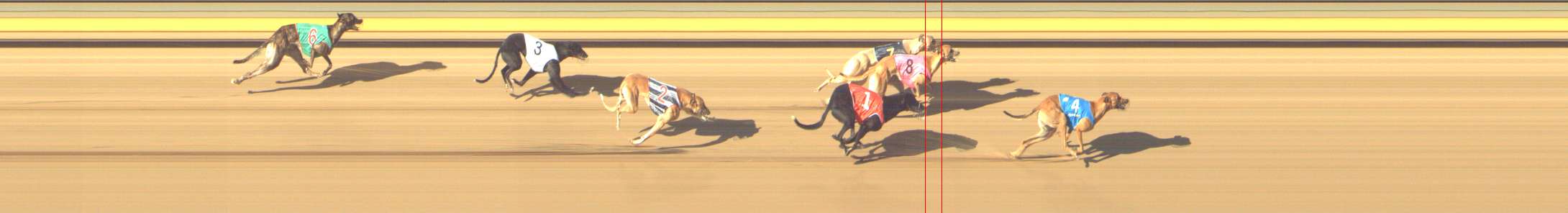 Photo finish for Shepparton Race 9