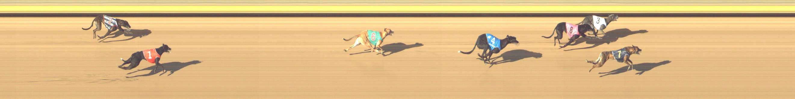 Photo finish for Shepparton Race 10