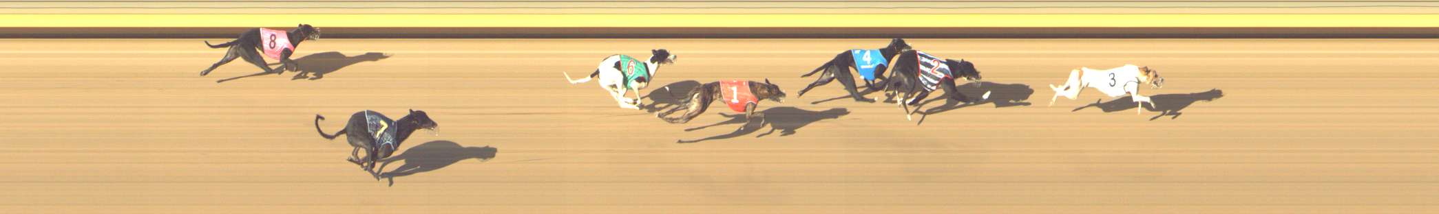 Photo finish for Shepparton Race 11