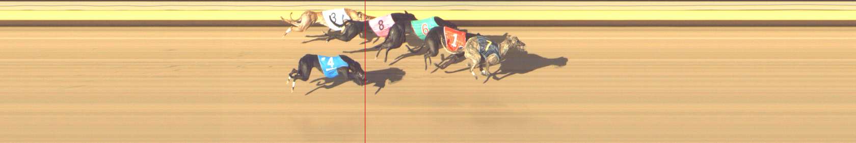 Photo finish for Shepparton Race 12