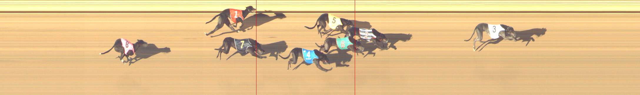 Photo finish for Shepparton Race 13