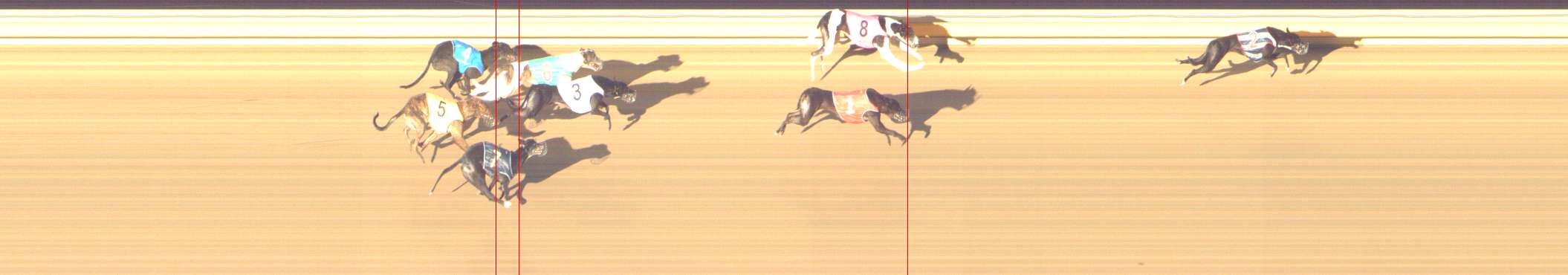 Photo finish for Shepparton Race 14