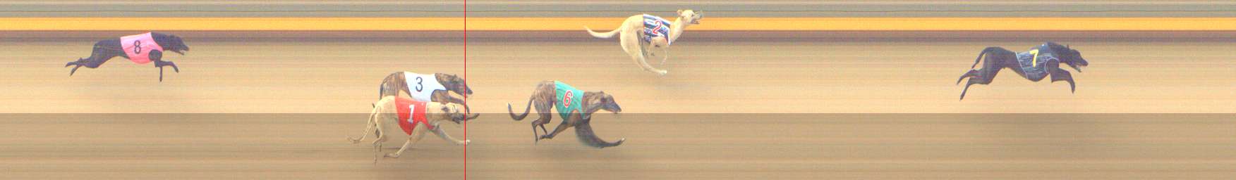 Photo finish for Shepparton Race 1