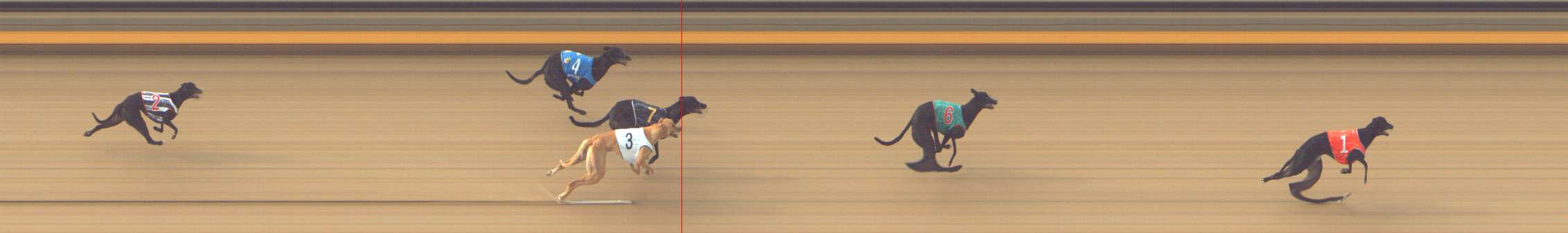 Photo finish for Shepparton Race 2