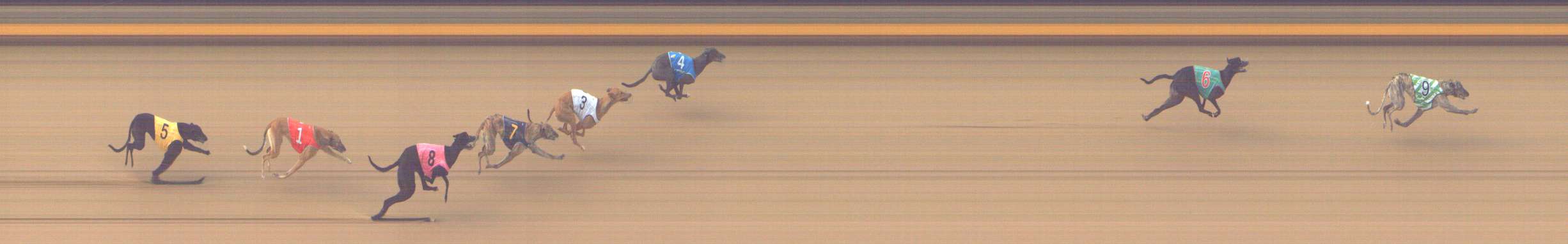 Photo finish for Shepparton Race 3