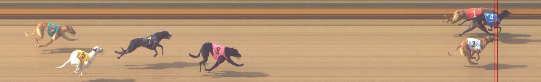 Photo finish for Shepparton Race 4