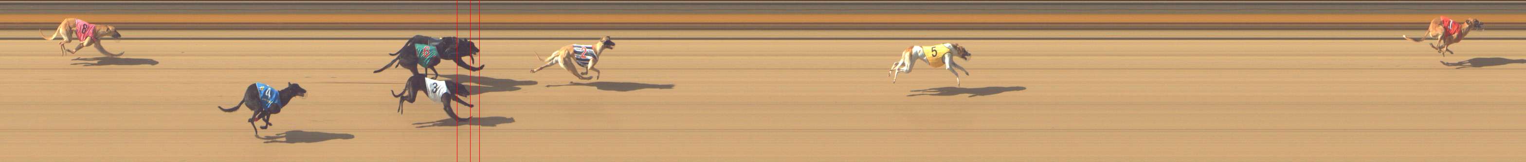 Photo finish for Shepparton Race 5